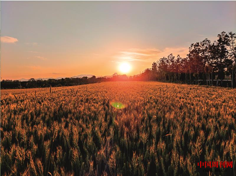 微信截圖_20221014162823.png 微信截圖_20221014162823.png