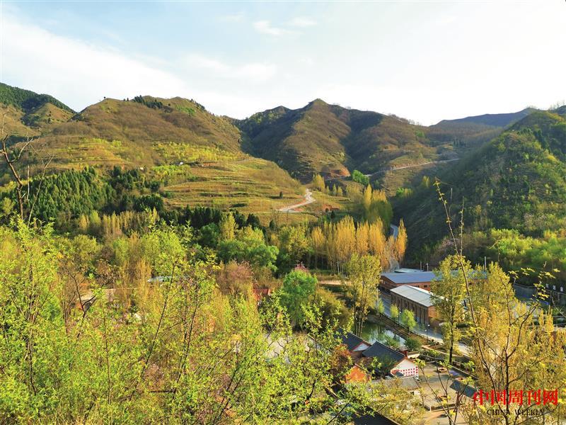 a10dec2dd885cebf024970571fd5761.jpg a10dec2dd885cebf024970571fd5761.jpg