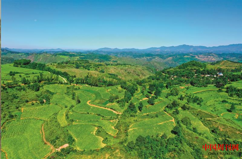 微信截圖_20221014171105.png 微信截圖_20221014171105.png