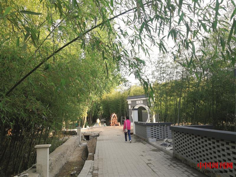 洛寧綠竹風(fēng)情園 (趙新民 攝影).jpg 洛寧綠竹風(fēng)情園 (趙新民 攝影).jpg