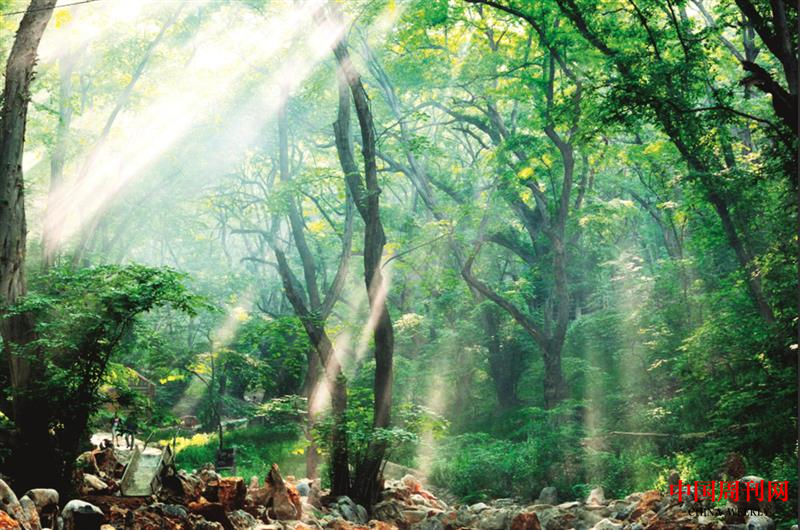 微信截圖_20221201160452.png 微信截圖_20221201160452.png