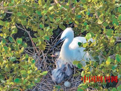 614186b2007c99ba95ae447c7d10d56e_1676235840842_1.jpg 614186b2007c99ba95ae447c7d10d56e_1676235840842_1.jpg