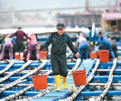 中國優(yōu)化完善多項階段性稅費優(yōu)惠政策—— 稅惠力度多大？聽企業(yè)算算賬