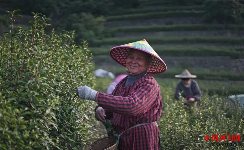 圖片4.png 圖片4.png