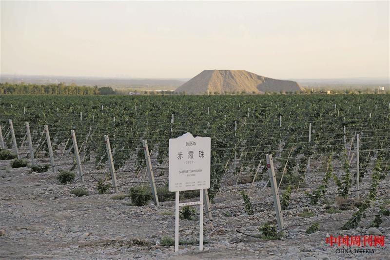 微信圖片_20230925104200.jpg 微信圖片_20230925104200.jpg