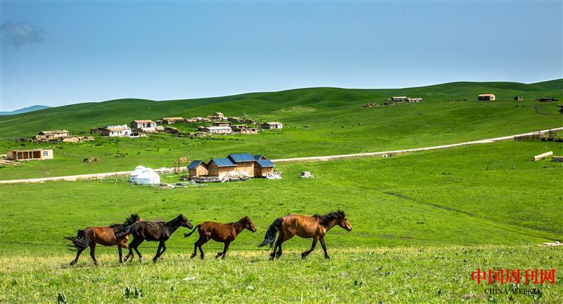 攝圖網(wǎng)_500417453_策馬崩騰的夏季新疆大草原(企業(yè)商用).jpg 攝圖網(wǎng)_500417453_策馬崩騰的夏季新疆大草原(企業(yè)商用).jpg