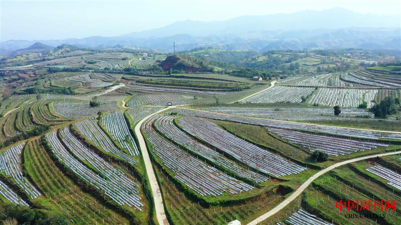 940540d961f9893fb6fec9a1ef7091e.png 940540d961f9893fb6fec9a1ef7091e.png