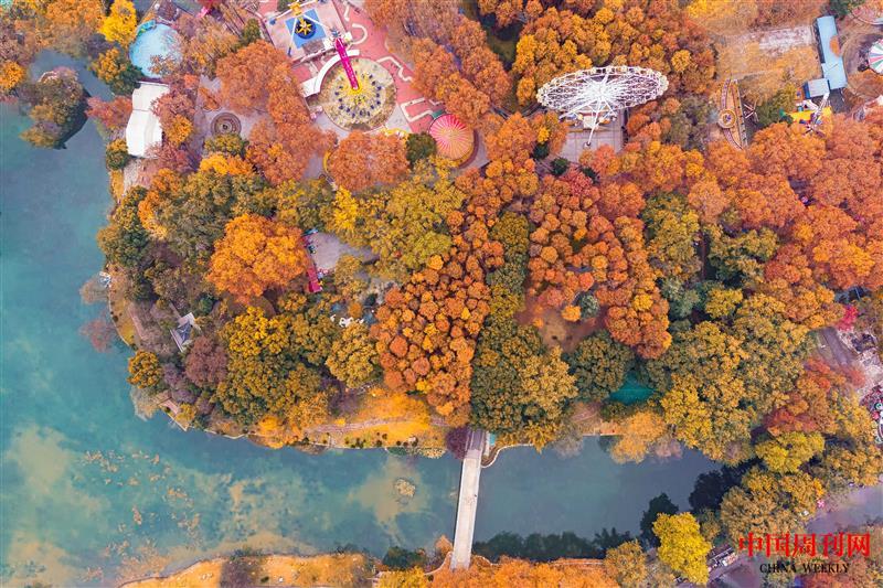 攝圖網(wǎng)_501142219_俯瞰武漢城市公園的秋天(企業(yè)商用).jpg 攝圖網(wǎng)_501142219_俯瞰武漢城市公園的秋天(企業(yè)商用).jpg