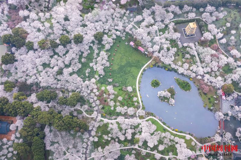 攝圖網(wǎng)_501224305_武漢東湖磨山櫻園(企業(yè)商用).jpg 攝圖網(wǎng)_501224305_武漢東湖磨山櫻園(企業(yè)商用).jpg