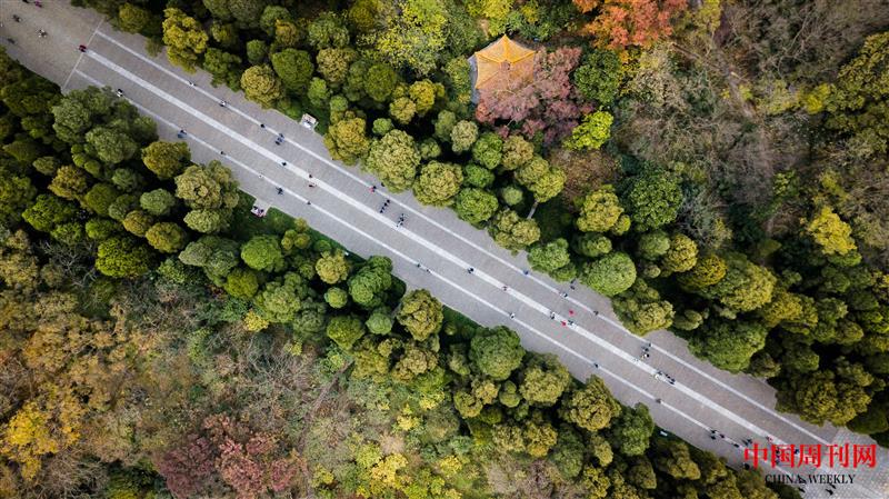 攝圖網(wǎng)_500744753_航拍南京明孝陵秋色(企業(yè)商用).jpg 攝圖網(wǎng)_500744753_航拍南京明孝陵秋色(企業(yè)商用).jpg