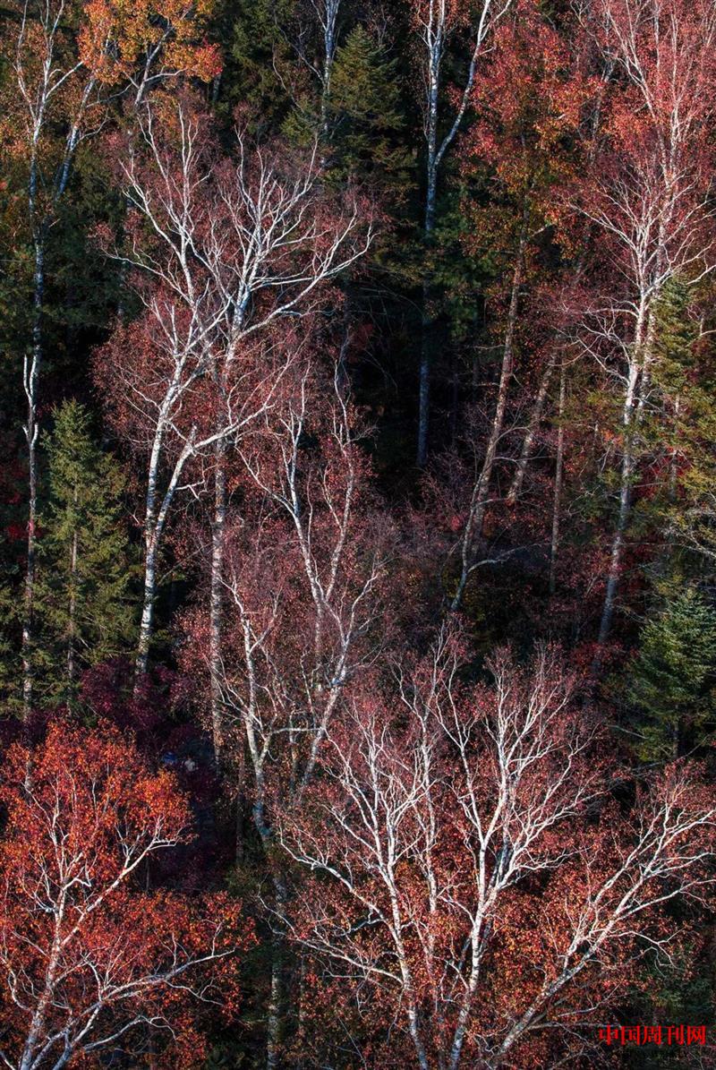 微信圖片_20250106100246.jpg 微信圖片_20250106100246.jpg