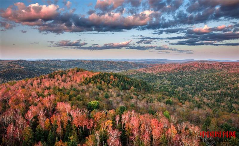 微信圖片_20250106100251.jpg 微信圖片_20250106100251.jpg