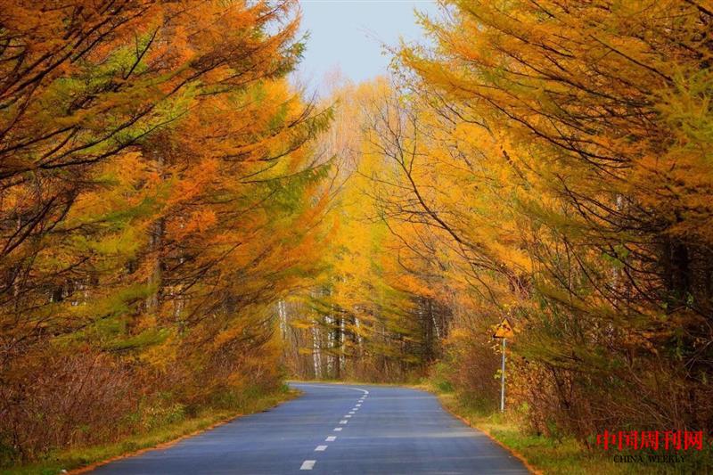 微信圖片_20250106100254.jpg 微信圖片_20250106100254.jpg